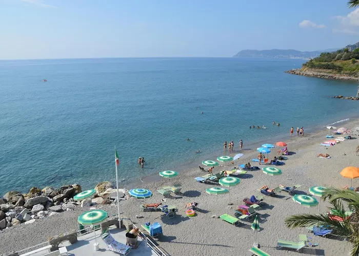 Miky アルベンガ